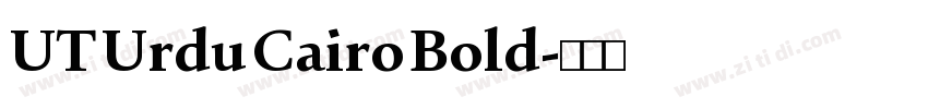 UT Urdu Cairo Bold字体转换